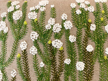 Load image into Gallery viewer, HARDEBOS heavy linen box