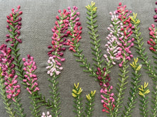 Load image into Gallery viewer, ERICA IRREGULARIS heavy linen box
