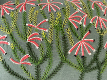 Load image into Gallery viewer, ERICA DISCOLOR heavy linen scatter
