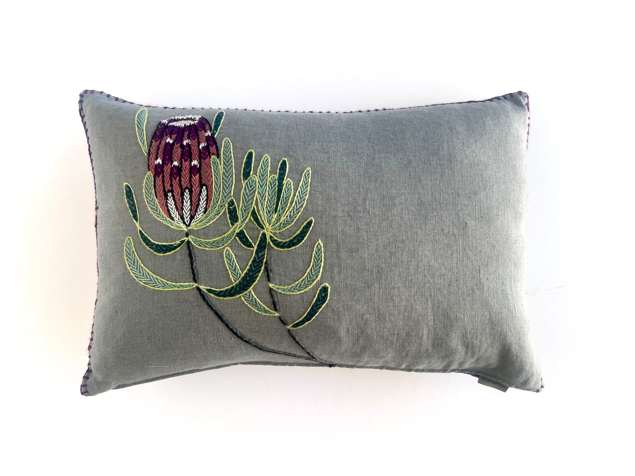 PROTEA NERIIFOLIA light linen scatter