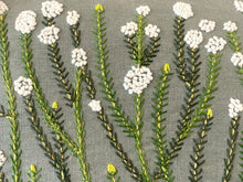 Load image into Gallery viewer, HARDEBOS heavy linen box

